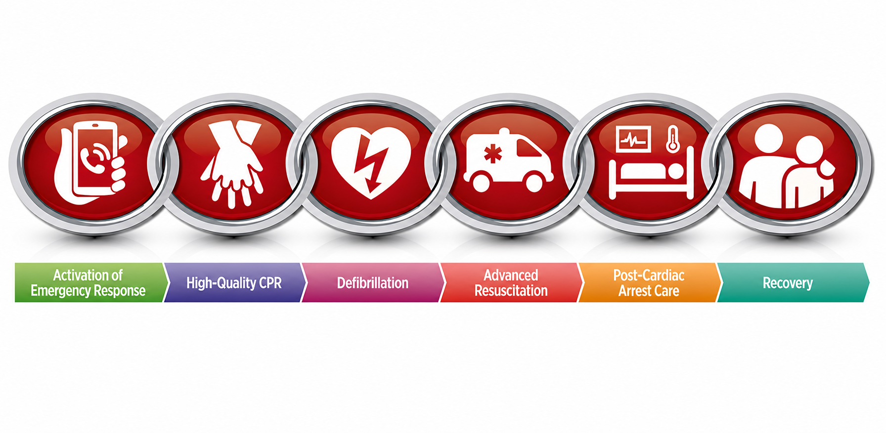 Chain of Survival diagram for sudden cardiac arrest response