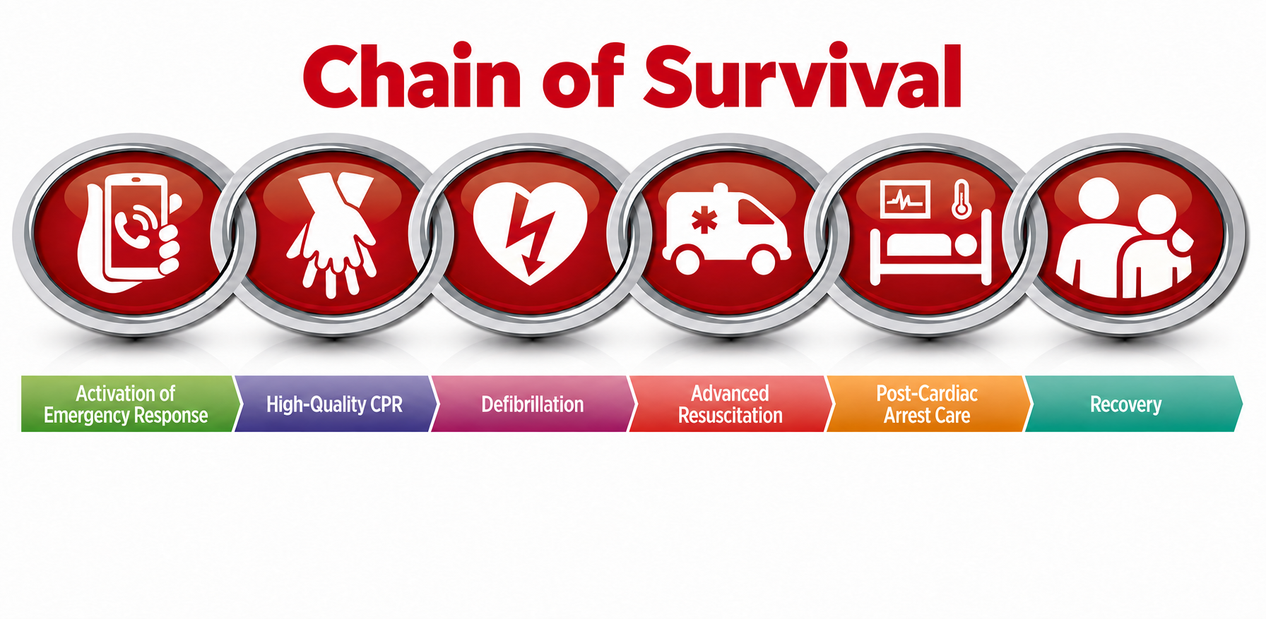 Chain of Survival diagram for sudden cardiac arrest response
